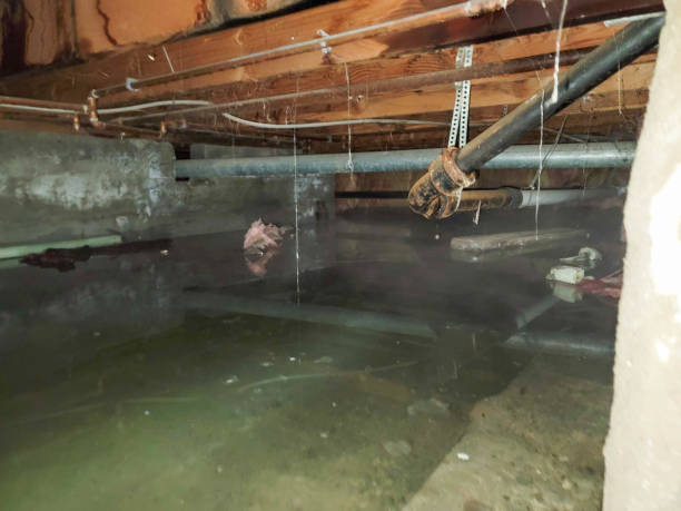 Best Flooded house restoration  in Cordele, GA