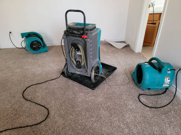 Best Commercial water damage restoration  in Cordele, GA
