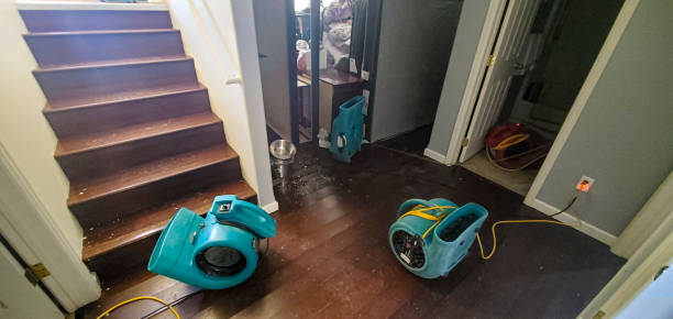Best Flood damage cleanup  in Cordele, GA