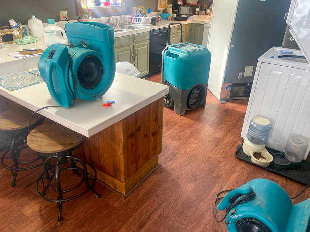 Best Professional water damage repair  in Cordele, GA