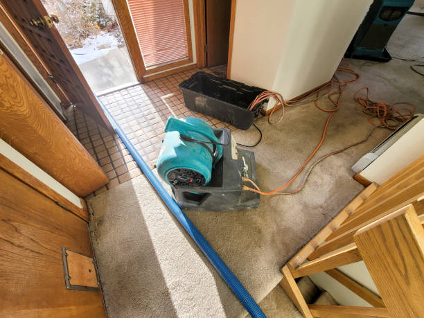 Best Mold removal after water damage  in Cordele, GA
