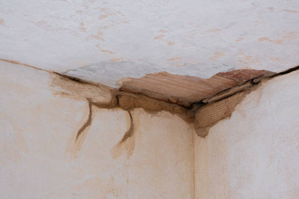 Best Residential water damage restoration  in Cordele, GA
