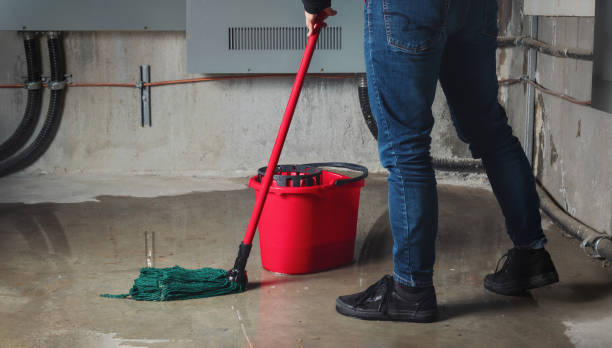 Cordele, GA Water damage restoration Pros
