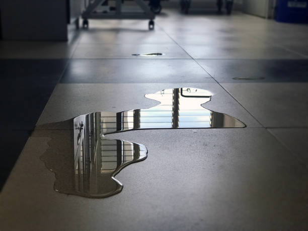 Best Commercial water damage restoration  in Cordele, GA