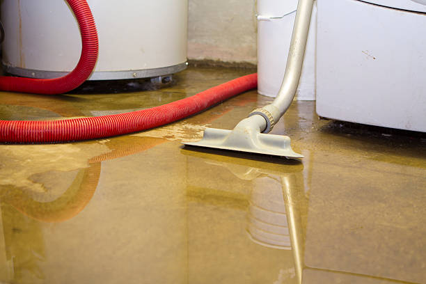 Best Water damage contractors near me  in Cordele, GA
