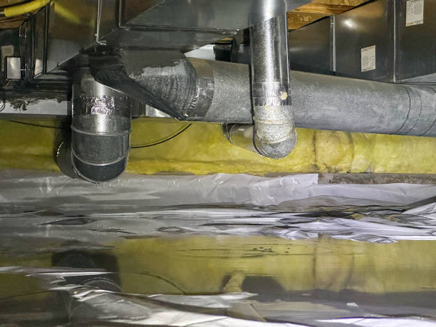 Best Local water damage restoration  in Cordele, GA