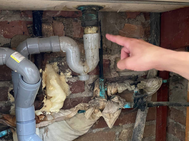 Water damage restoration mold remediation in GA