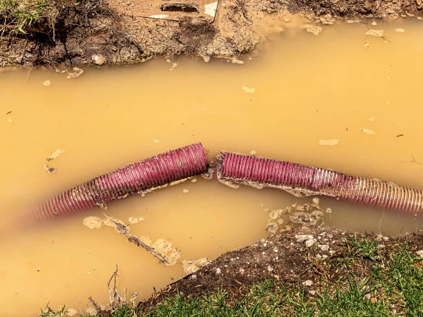 Best Water damage restoration near me  in Cordele, GA