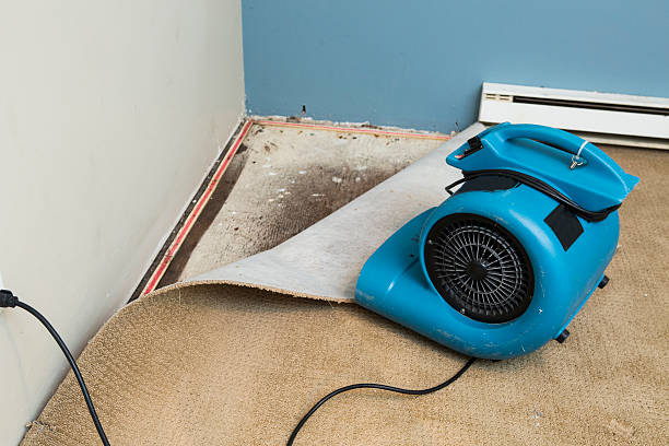 Best Water damage restoration near me  in Cordele, GA